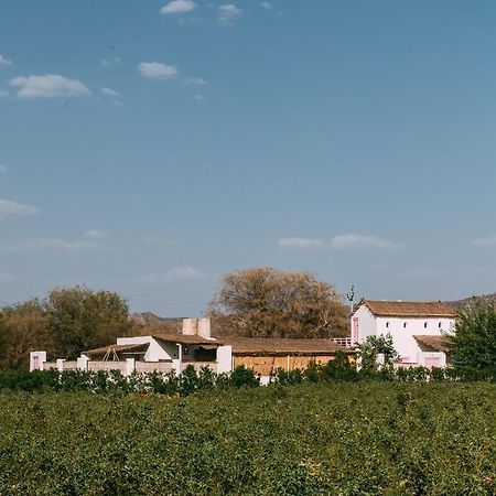 The Luxe Pushkar - A Luxury Farmstay In Pushkar Zewnętrze zdjęcie