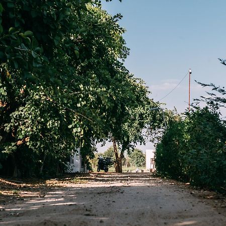 The Luxe Pushkar - A Luxury Farmstay In Pushkar Zewnętrze zdjęcie