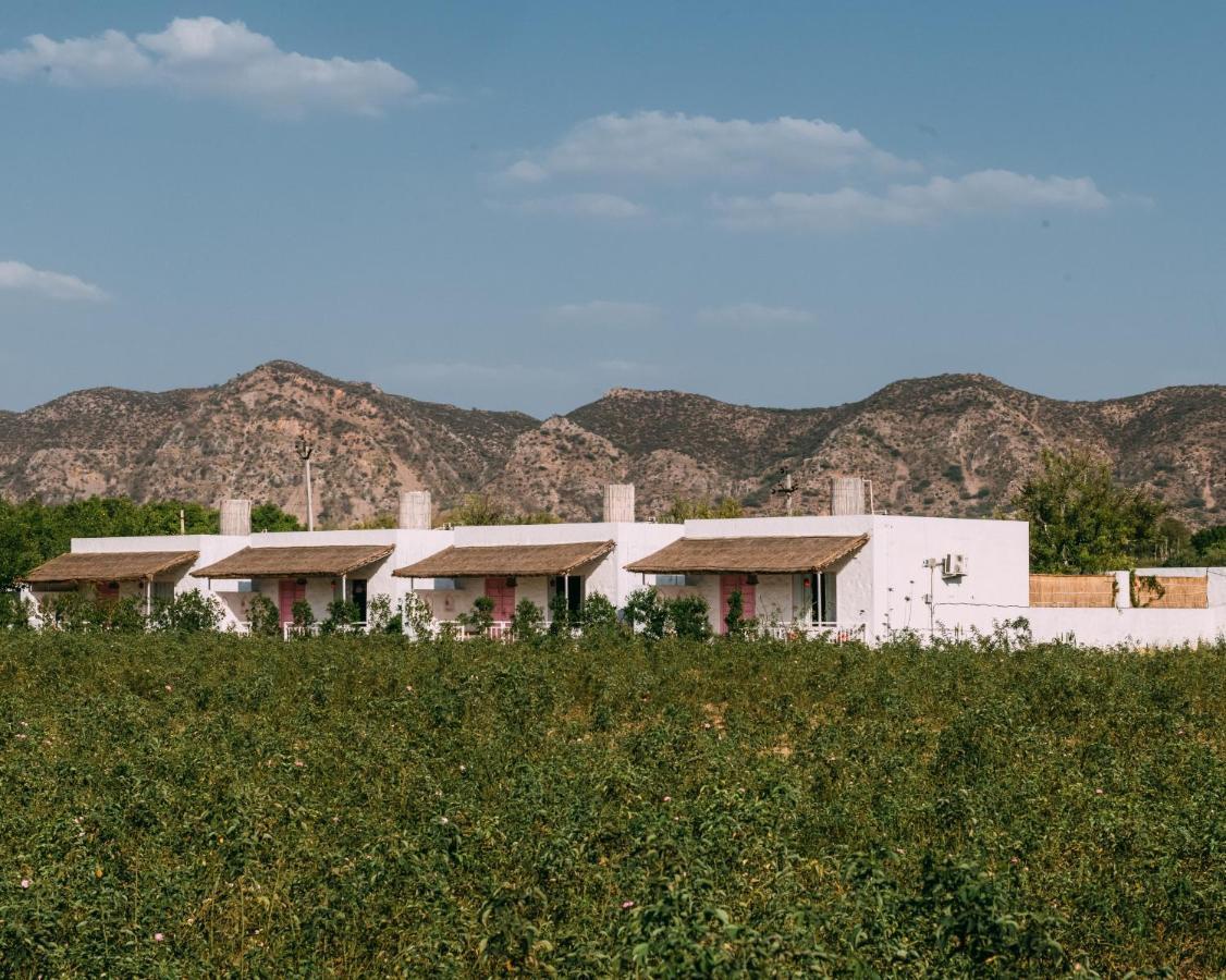 The Luxe Pushkar - A Luxury Farmstay In Pushkar Zewnętrze zdjęcie