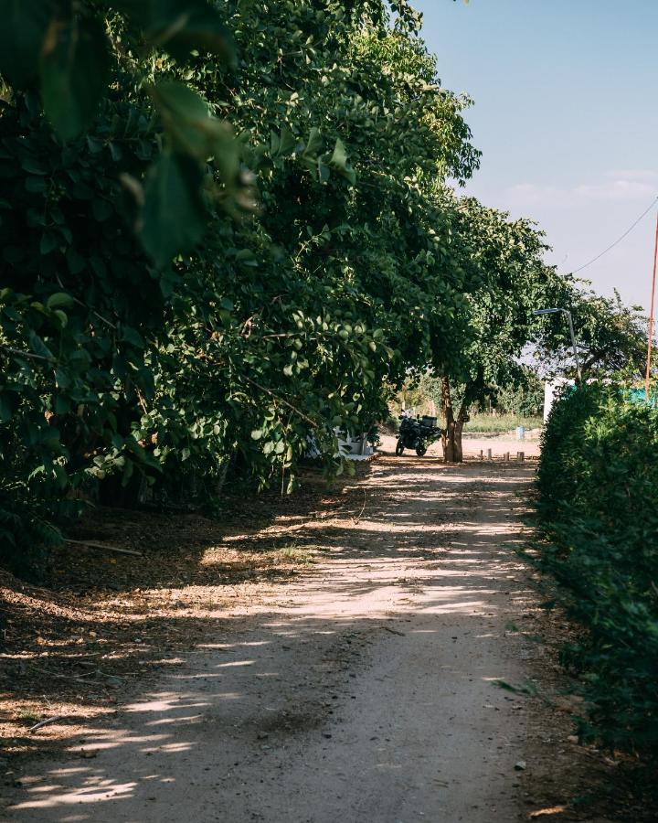 The Luxe Pushkar - A Luxury Farmstay In Pushkar Zewnętrze zdjęcie