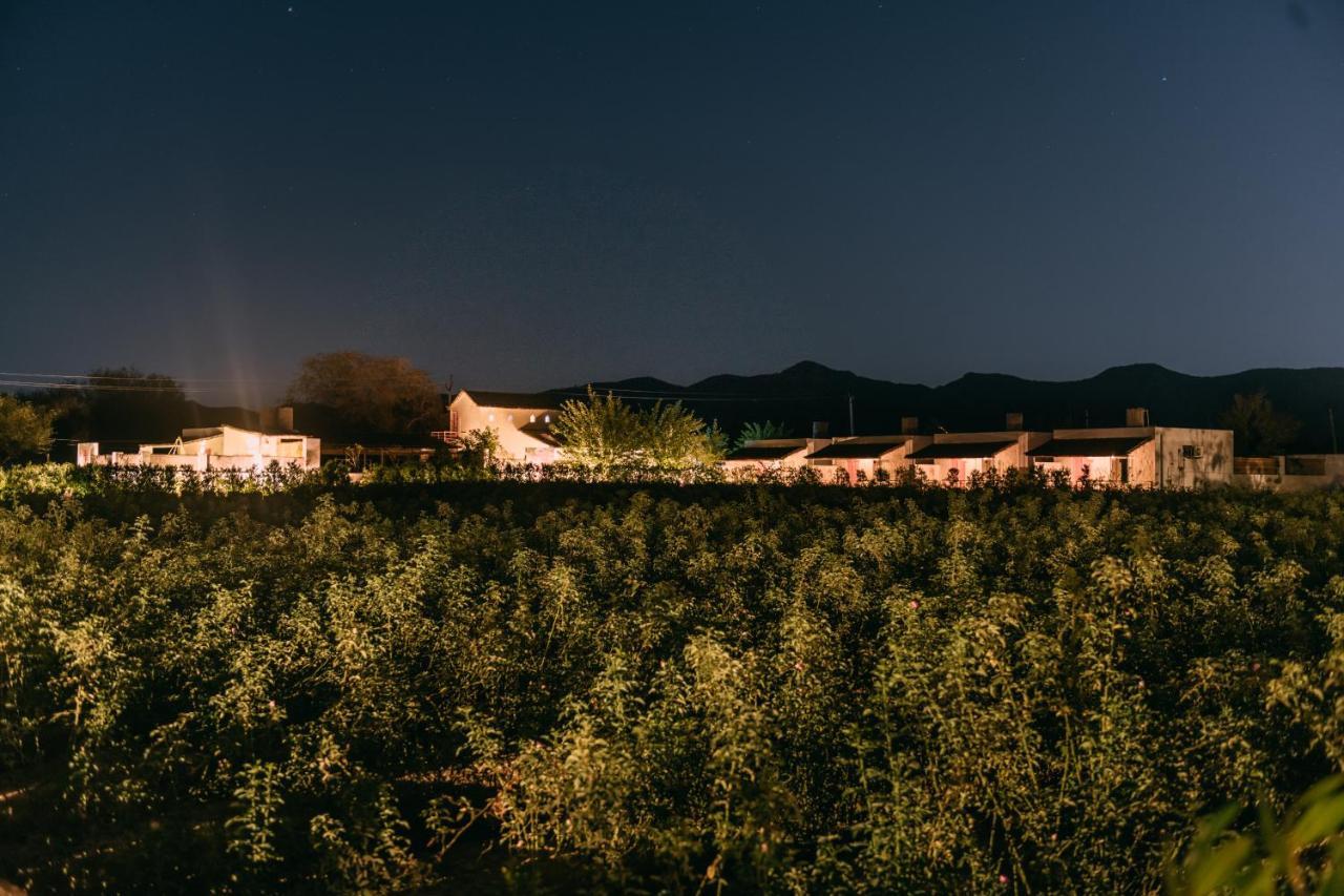 The Luxe Pushkar - A Luxury Farmstay In Pushkar Zewnętrze zdjęcie