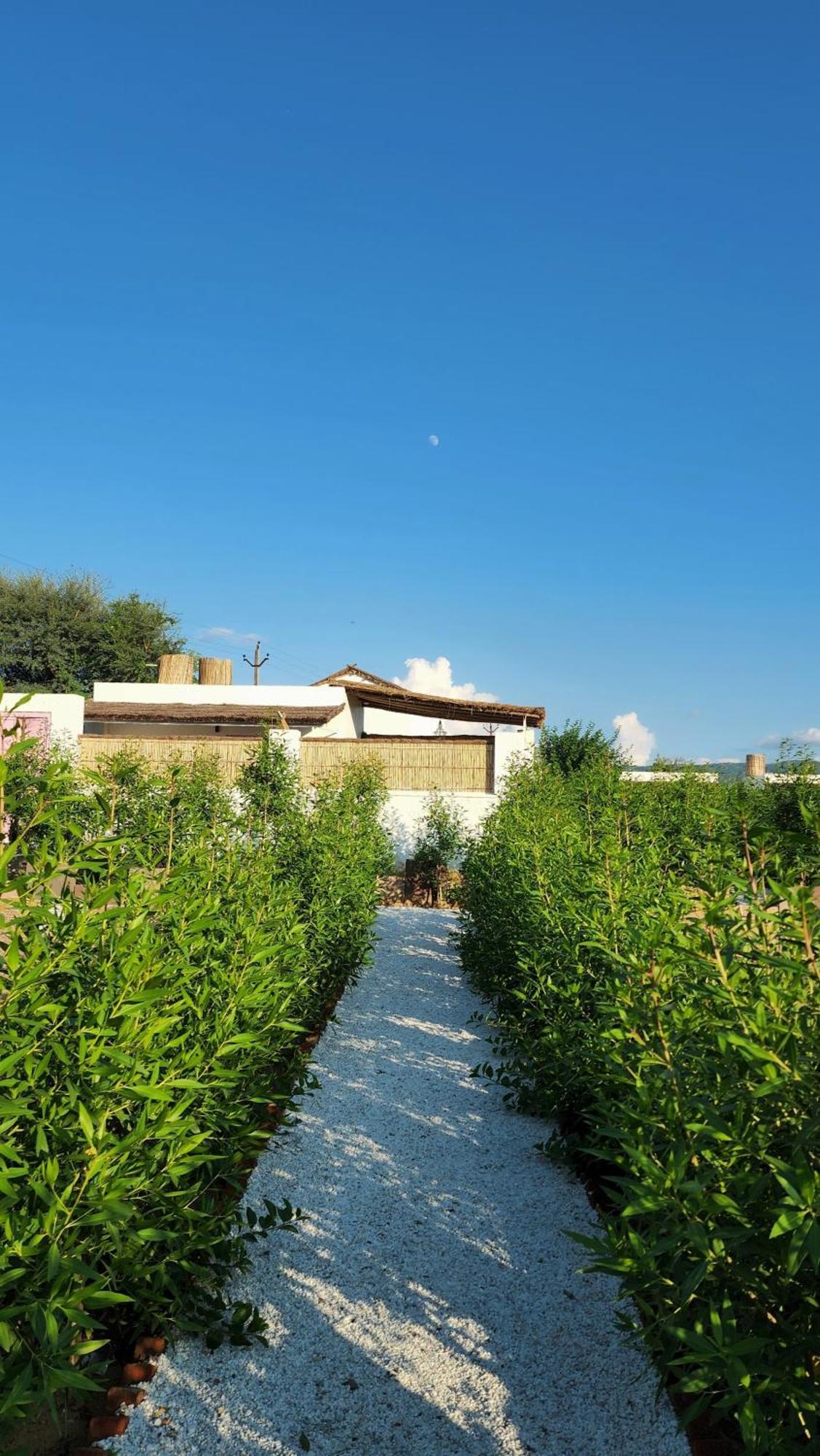 The Luxe Pushkar - A Luxury Farmstay In Pushkar Zewnętrze zdjęcie