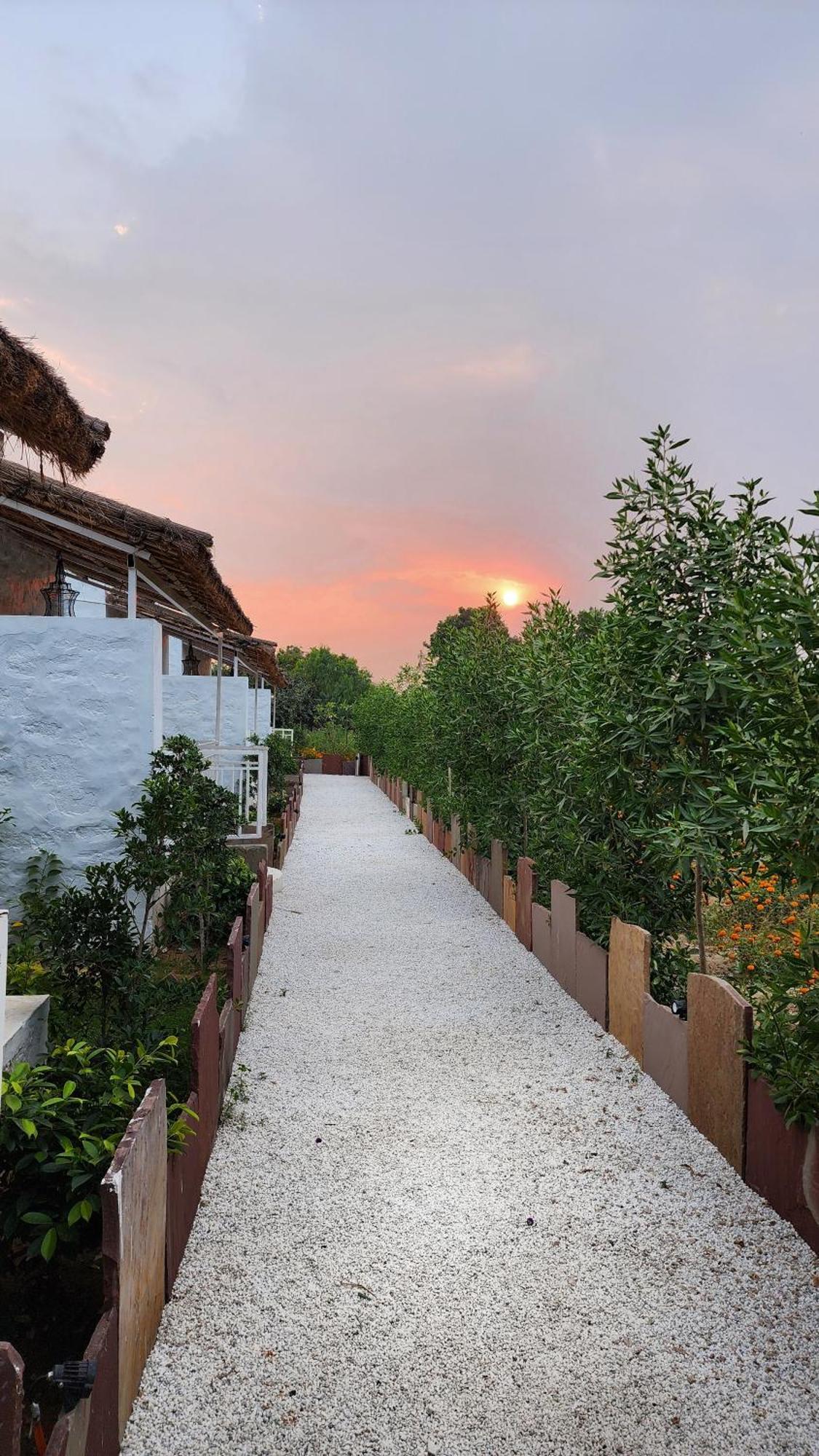 The Luxe Pushkar - A Luxury Farmstay In Pushkar Zewnętrze zdjęcie