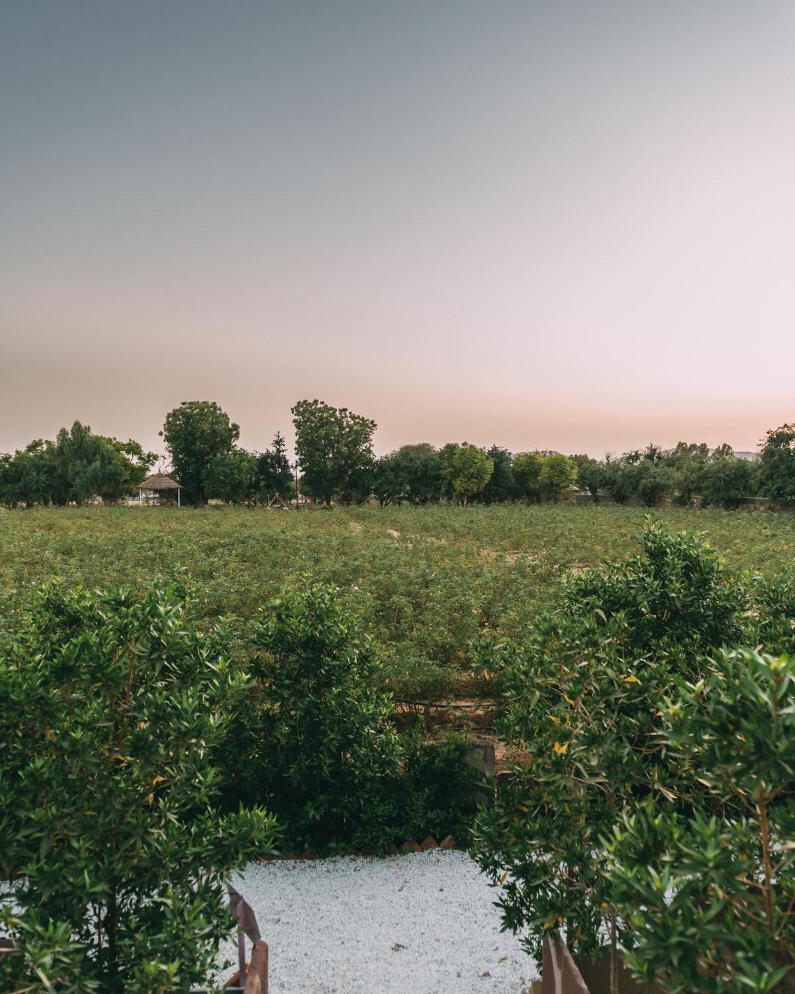 The Luxe Pushkar - A Luxury Farmstay In Pushkar Zewnętrze zdjęcie